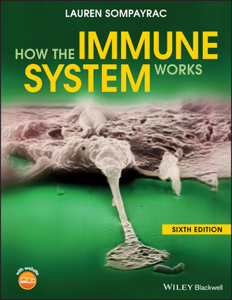 Lauren M. Sompayrac. How the Immune System Works
