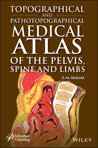 Z. M. Seagal. Topographical and Pathotopographical Medical Atlas of the Pelvis, Spine, and Limbs