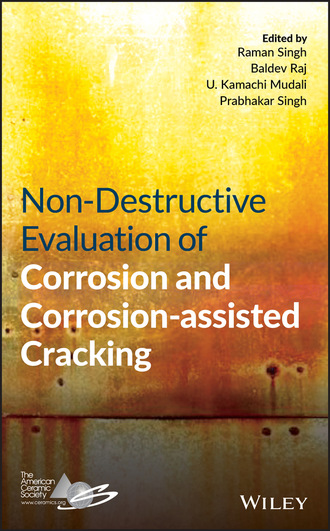 Группа авторов. Non-Destructive Evaluation of Corrosion and Corrosion-assisted Cracking