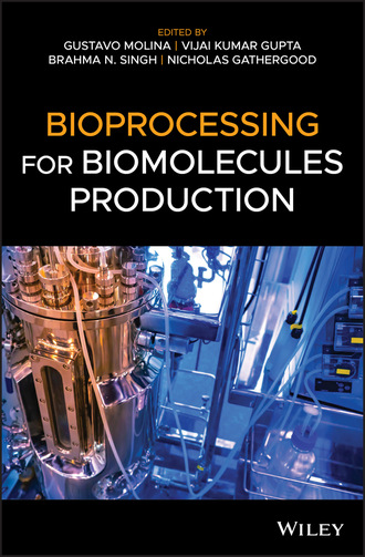 Группа авторов. Bioprocessing for Biomolecules Production