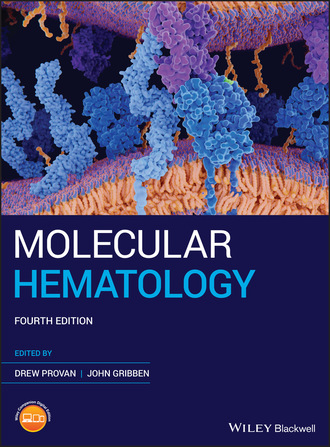 Группа авторов. Molecular Hematology