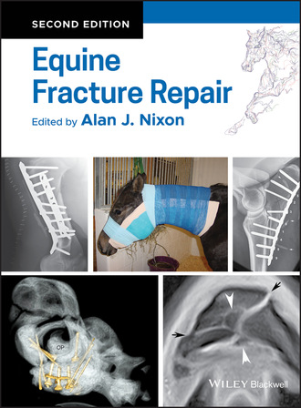 Группа авторов. Equine Fracture Repair