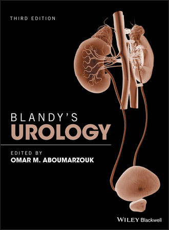 Группа авторов. Blandy's Urology