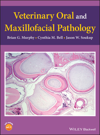 Brian G. Murphy. Veterinary Oral and Maxillofacial Pathology