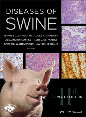 Группа авторов. Diseases of Swine