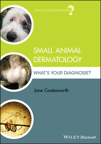 Jane Coatesworth. Small Animal Dermatology