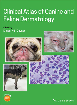Группа авторов. Clinical Atlas of Canine and Feline Dermatology