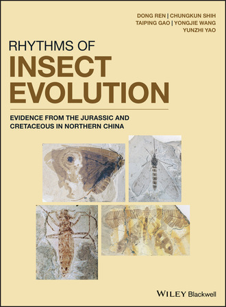 Группа авторов. Rhythms of Insect Evolution