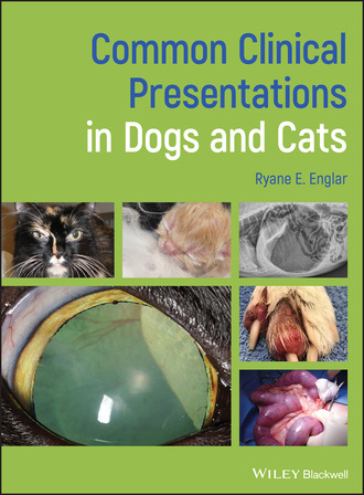 Ryane E. Englar. Common Clinical Presentations in Dogs and Cats
