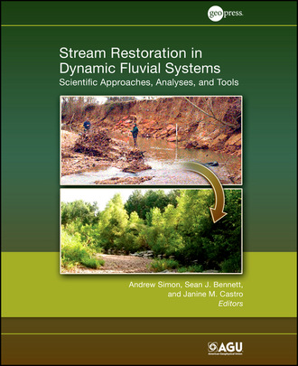 Группа авторов. Stream Restoration in Dynamic Fluvial Systems
