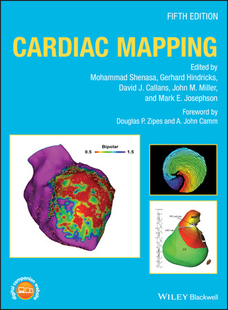 Группа авторов. Cardiac Mapping