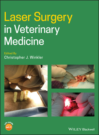 Группа авторов. Laser Surgery in Veterinary Medicine