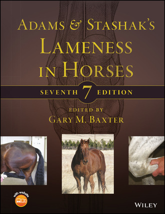 Группа авторов. Adams and Stashak's Lameness in Horses