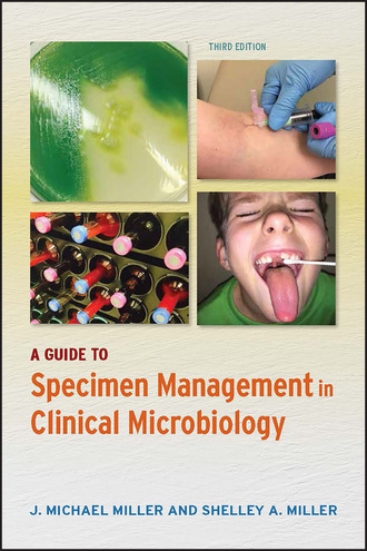 J. Michael Miller. A Guide to Specimen Management in Clinical Microbiology