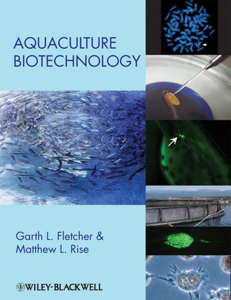 Группа авторов. Aquaculture Biotechnology