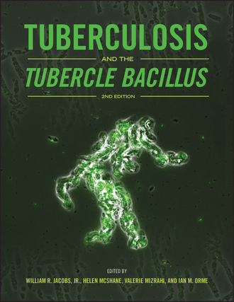 Группа авторов. Tuberculosis and the Tubercle Bacillus