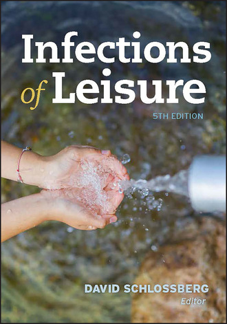 Группа авторов. Infections of Leisure