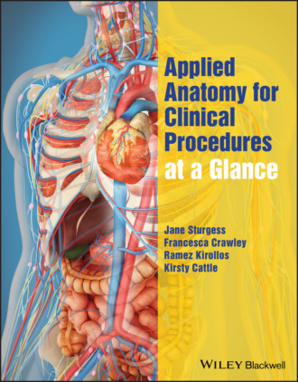 Jane Sturgess. Applied Anatomy for Clinical Procedures at a Glance