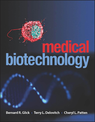Группа авторов. Medical Biotechnology