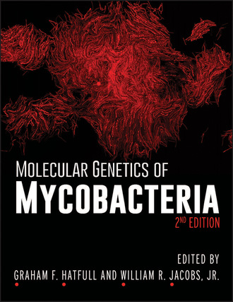 Группа авторов. Molecular Genetics of Mycobacteria
