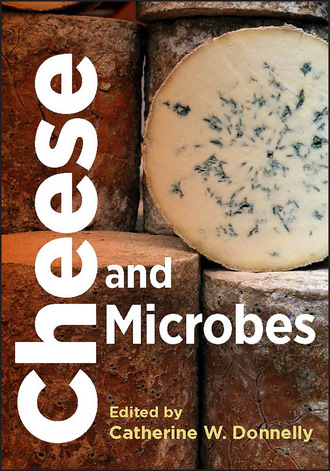 Группа авторов. Cheese and Microbes