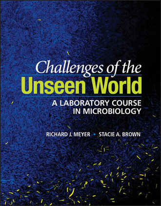 Richard J. Meyer. Challenges of the Unseen World