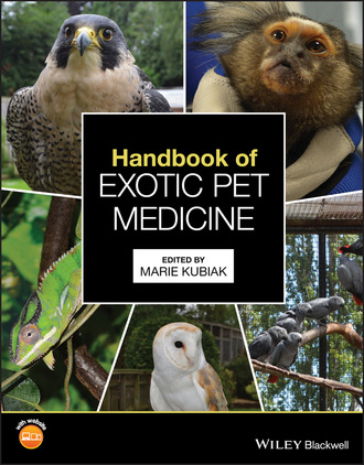 Группа авторов. Handbook of Exotic Pet Medicine