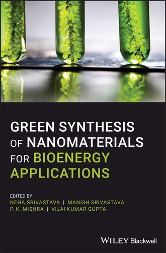 Группа авторов. Green Synthesis of Nanomaterials for Bioenergy Applications