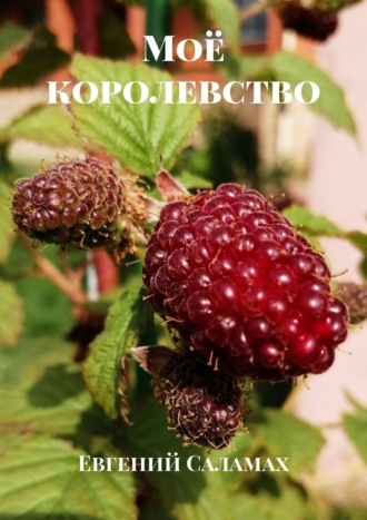 Моё королевство. Евгений Саламах