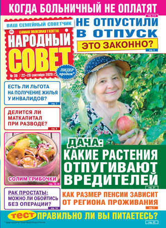 Группа авторов. Народный совет №39/2020