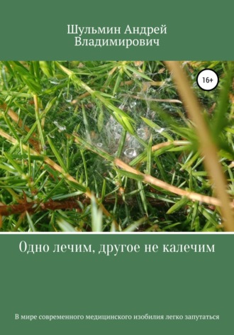 Андрей Владимирович Шульмин. Одно лечим, другое не калечим