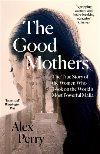 Alex Perry. The Good Mothers
