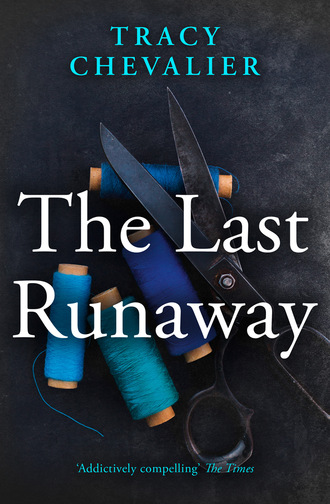 Tracy  Chevalier. The Last Runaway