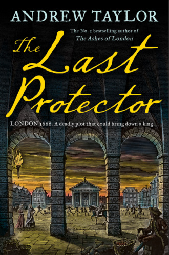 The Last Protector. Эндрю Тейлор