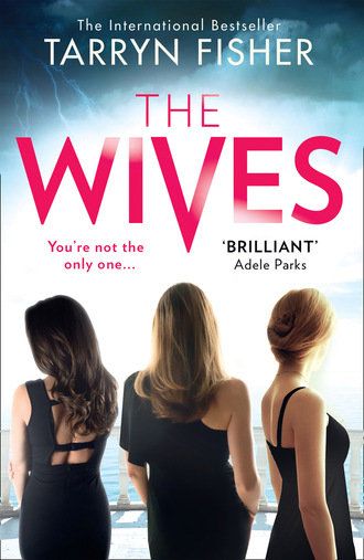 Tarryn Fisher. The Wives