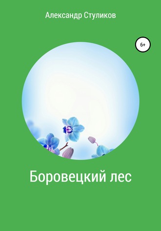 Александр Стуликов. Боровецкий лес
