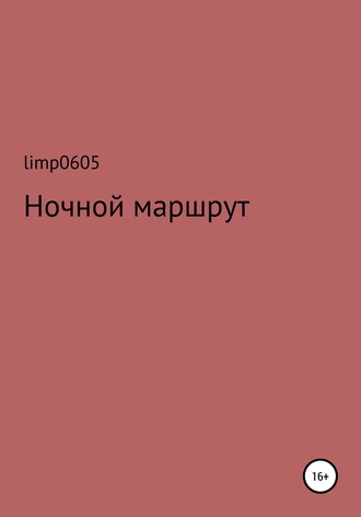 limp0605. Ночной маршрут