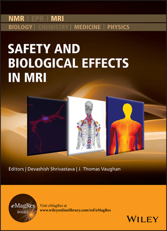 Группа авторов. Safety and Biological Effects in MRI