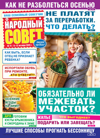 Народный совет №41/2020. Группа авторов