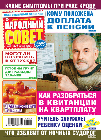 Группа авторов. Народный совет №42/2020