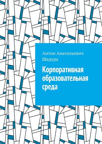 Антон Анатольевич Шадура. Корпоративная образовательная среда