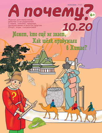 Группа авторов. А почему? №10/2020