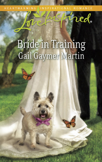 Gail Gaymer Martin. Bride In Training