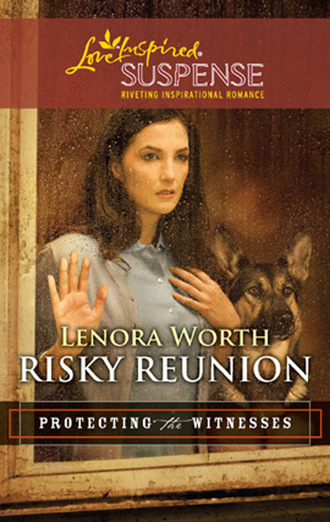 Risky Reunion. Lenora Worth