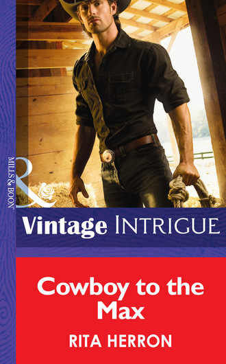Cowboy to the Max. Rita Herron