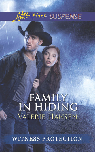Valerie  Hansen. Family In Hiding