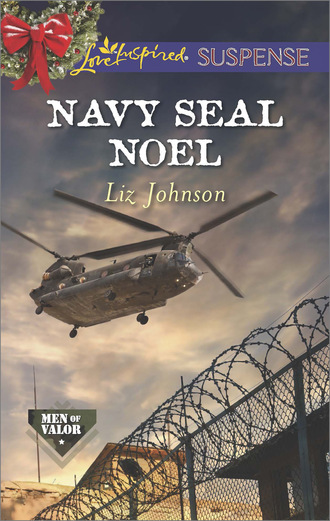 Liz  Johnson. Navy SEAL Noel