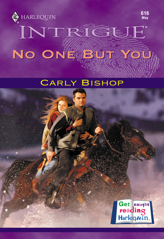 No One But You. Carly Bishop