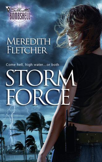 Meredith Fletcher. Storm Force
