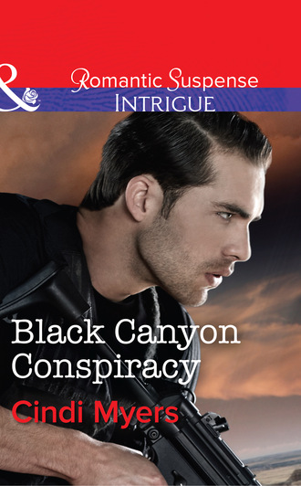 The Ranger Brigade. Cindi Myers